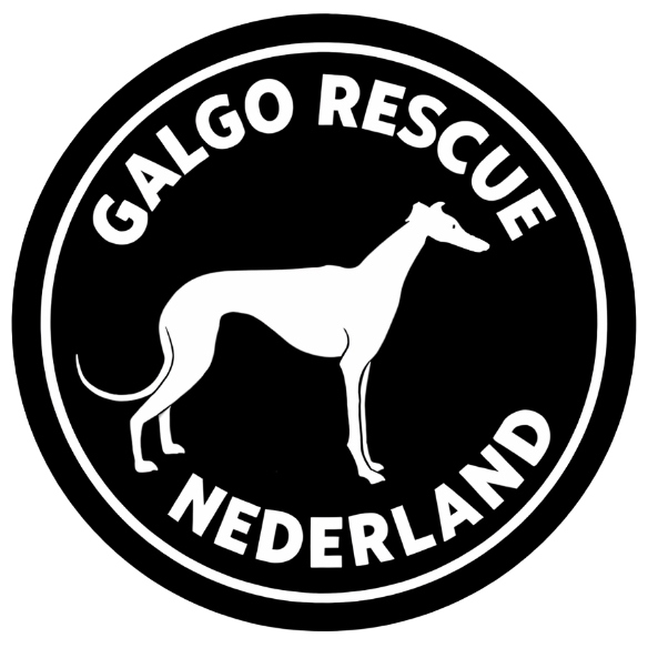 Galgo Rescue Nederland